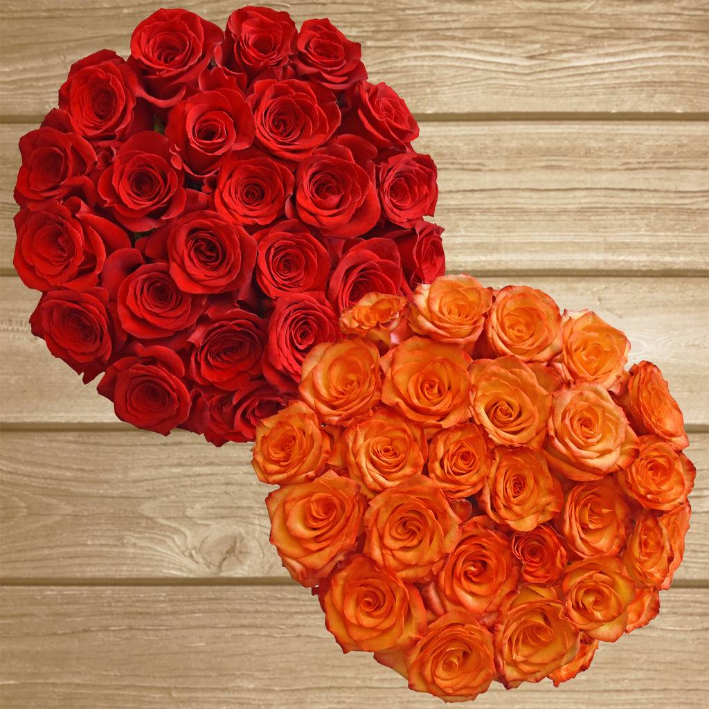 ebloomsdirect's tweet photo. Orange flowers, order online with free delivery for all the USA including Alaska and Hawaii.
https://t.co/A0rFNPYFoQ
#flowersnearme #flowerslovers #lovelyflowers #californiawedding #centerpiecesforweddings #greenlisianthus #EbloomsDirect #greenlife #flowersmakehappymoments https://t.co/H23Y68gk30