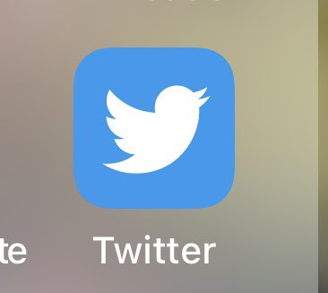 Zachary Hall tweet media