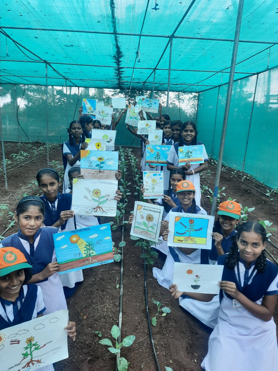 FALI schools are a place to learn, grow, and also grow high-value crops😀