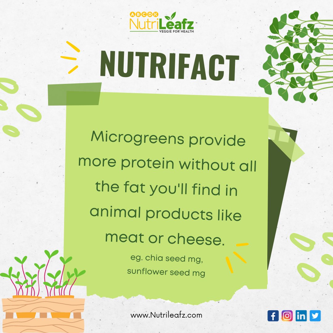 nutri_leafz's tweet photo. We are back with some more great facts about microgreens

#greenhouse #vegetablegarden #organicgardening #urbangarden #horticulture #harvest #greenthumb #organicfarming #veggiegarden #cultivo #urbanfarming #soil #compost #ediblegarden #seedlings #seed #hydroponics https://t.co/gL3VVucHr1