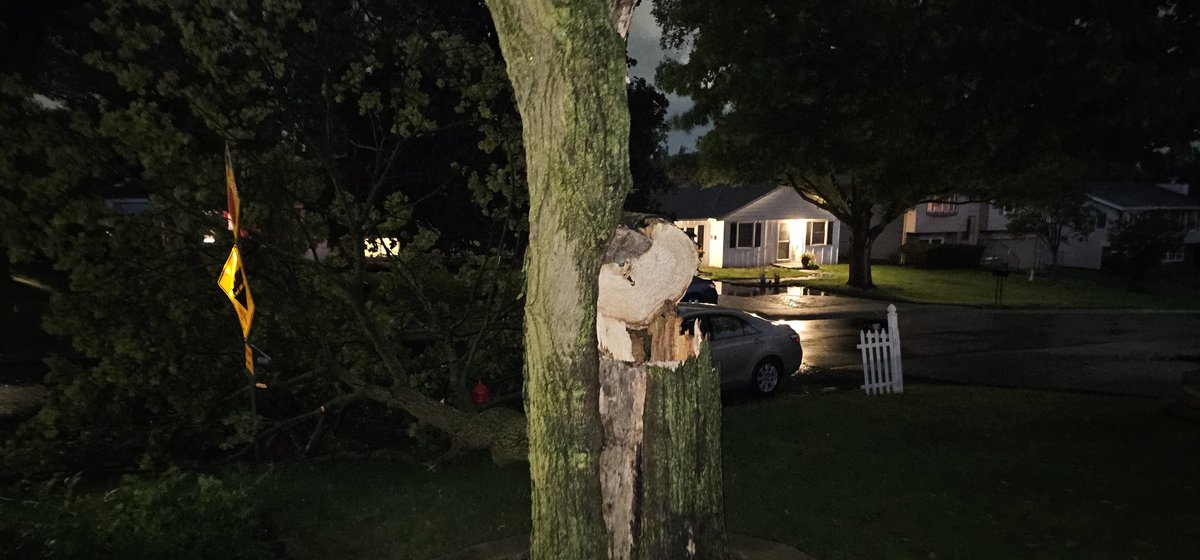 dbrown3137's tweet photo. Storm damage from past 1/2 hour from area of Pyott and Algonquin Rd. #ilwx https://t.co/pcTNFM0Xjq