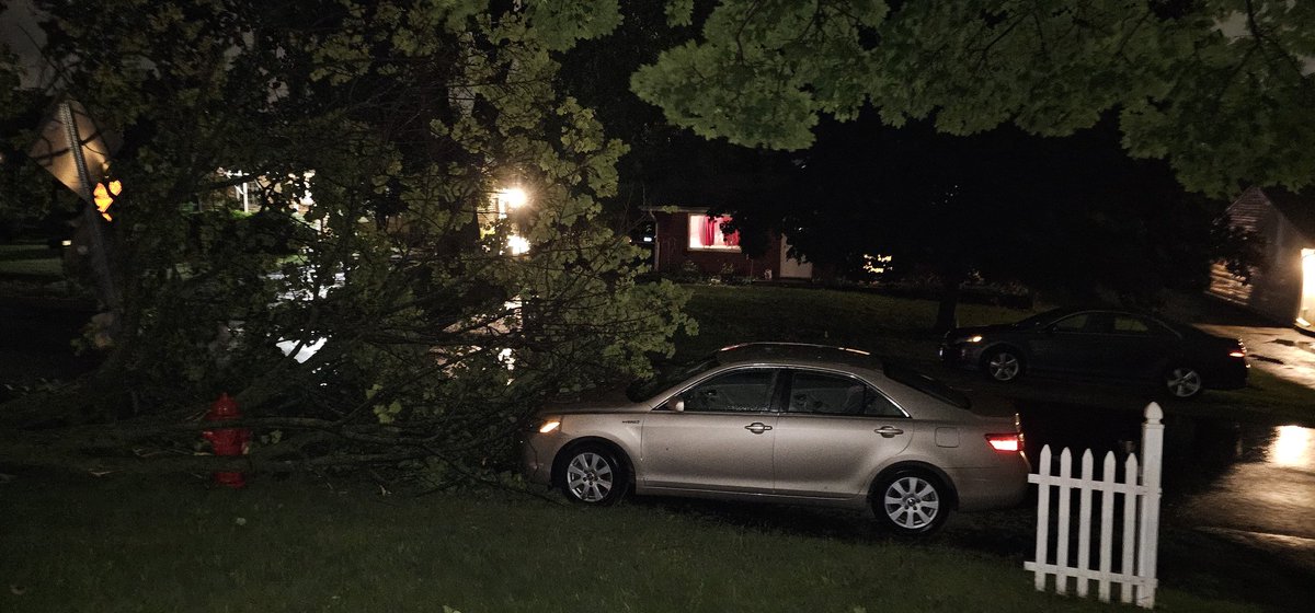 dbrown3137's tweet photo. Storm damage from past 1/2 hour from area of Pyott and Algonquin Rd. #ilwx https://t.co/pcTNFM0Xjq