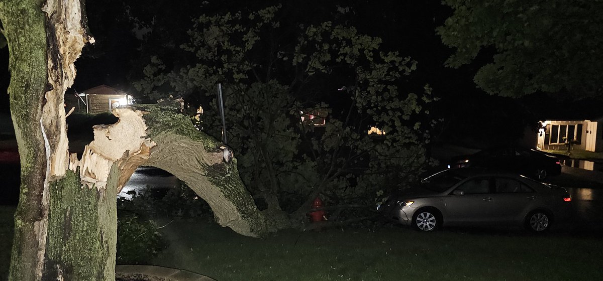 dbrown3137's tweet photo. Storm damage from past 1/2 hour from area of Pyott and Algonquin Rd. #ilwx https://t.co/pcTNFM0Xjq