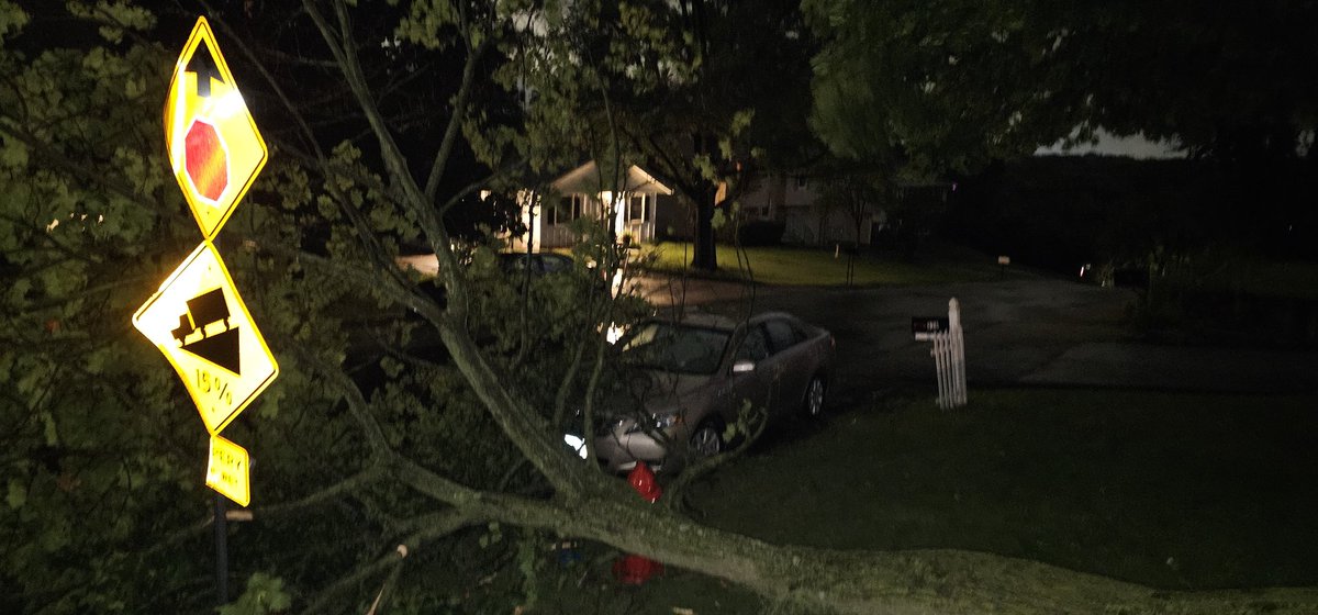 dbrown3137's tweet photo. Storm damage from past 1/2 hour from area of Pyott and Algonquin Rd. #ilwx https://t.co/pcTNFM0Xjq