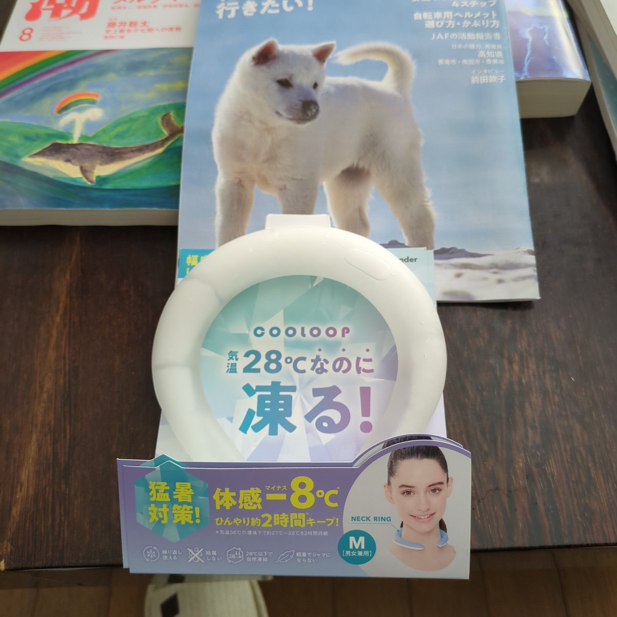 iKHplan17fkpGqp's tweet photo. ＃ネックリング
＃cooloop
猛暑対策
一個では、足らないため、もう一個購入
凍るは、大げさだけど、ひんやりする
もう少し長く冷えてくれたらいいけど、ない���りは、断然よい��も https://t.co/xZlewiwrhM