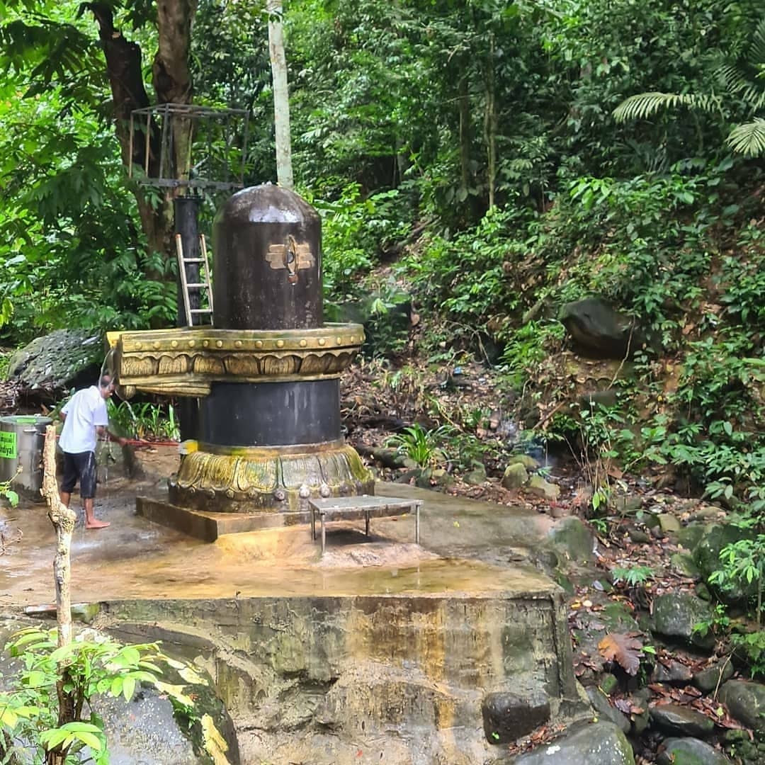 LostTemple7's tweet photo. Somewhere within the jungles of Malaysia....❣️🔱 https://t.co/85LQJVUJhE