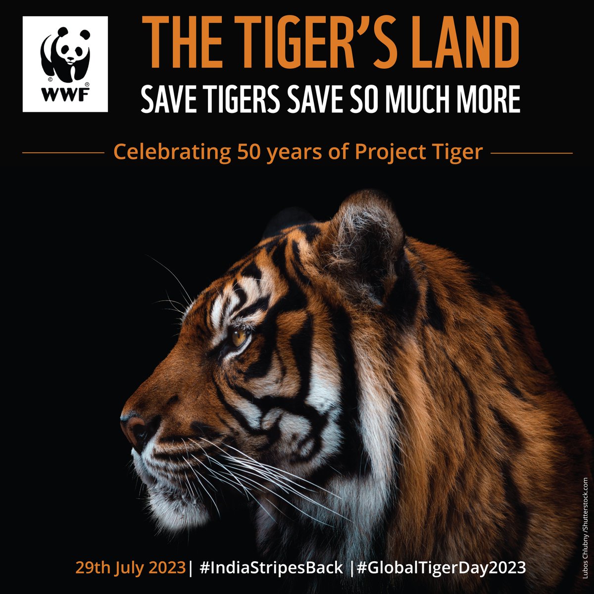 WWFINDIA's tweet photo. #GlobalTigerDay is observed every year on the 29th of July to raise awareness about the importance of #TigerConservation. The day was founded in 2010 when the 13 tiger range countries came together to double the number of wild tigers.
#IndiaStripesBack #WWFIndia https://t.co/lxRNqUOez7