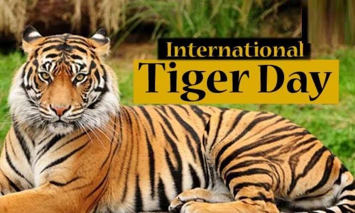 darbhangavi's tweet photo. Happy International Tiger Day! Let's celebrate and protect these majestic creatures, vital to ecosystems. Raise awareness about their conservation and join efforts to ensure a safer future for tigers worldwide. 🐯 #InternationalTigerDay #SaveOurTigers" https://t.co/YnW5OdY6Br