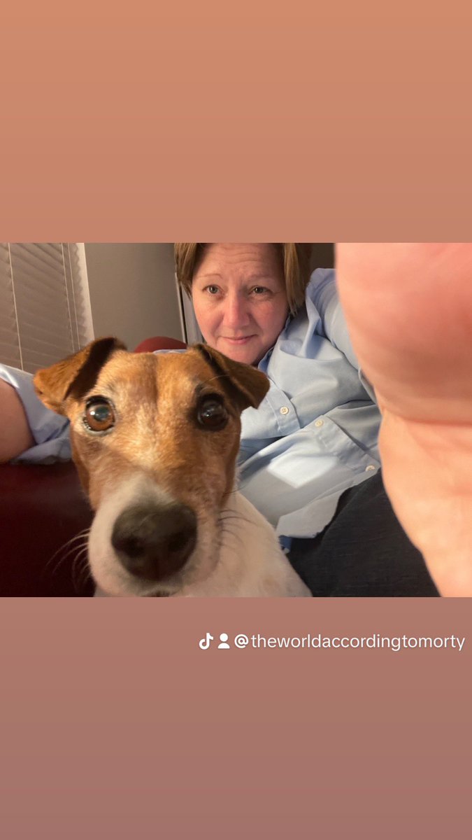 accordingtomort's tweet photo. Fresh off battening down the hatches.
#mort #mortimer #paw #su”paw”visor #treat #friday #ac #competition #mortimer #communication #choices #monsoon #pupcup #paw #onepaw #ready #kitkat #break #relax #wait #sit #hvac #guarddog #chill#talk #ok #umbrella #jrt https://t.co/wa0fyFRjRc