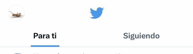 El Grillo 🤖 tweet media