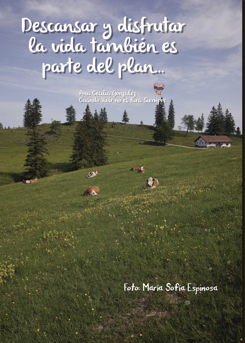 Anacecygzz's tweet photo. Parte del plan… #cuandovivirnoesparasiempre #frases #frasesparareflexionar #frasesinspiradoras #plan #disfrutarlavida #descansar #partedelplan https://t.co/kryRrvXVn0