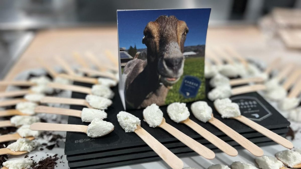 The Cheese School 🧀 tweet media