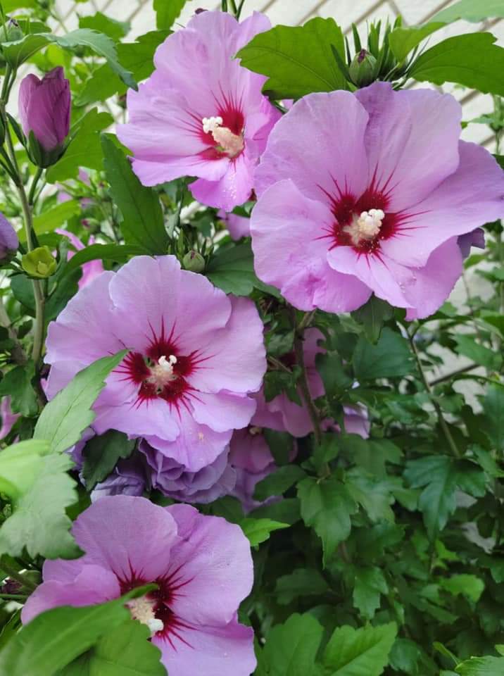 74ceff6b903445b's tweet photo. Hello dear friends 🙏😄
Have a beautiful Saturday 💜 https://t.co/mxjssGSgBN