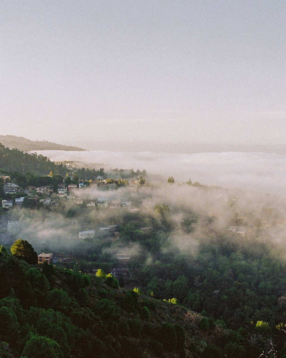 jocho0o's tweet photo. California Summer shot on the #canonrebelT2 with #kodak #ultramax400 https://t.co/8TgWPiSmKh