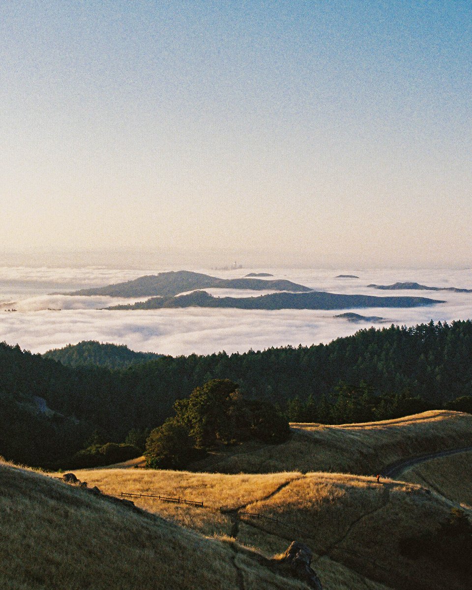 jocho0o's tweet photo. California Summer shot on the #canonrebelT2 with #kodak #ultramax400 https://t.co/8TgWPiSmKh