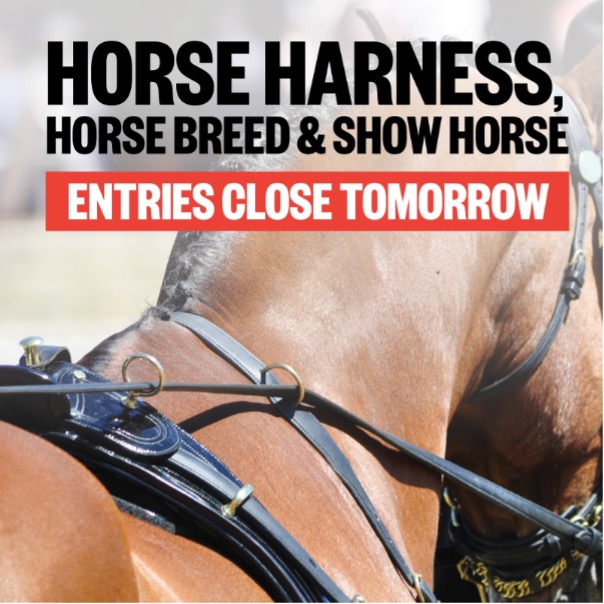 Don't miss out- entries for the Horse Harness, Show Horse and Horse Breed competitions close tomorrow! Hurry and submit your application for a chance to shine at the Perth Royal Show. Visit perthroyalshow.com.au/competitions/ to get your entries in!  #HorseCompetition #PerthRoyalShow