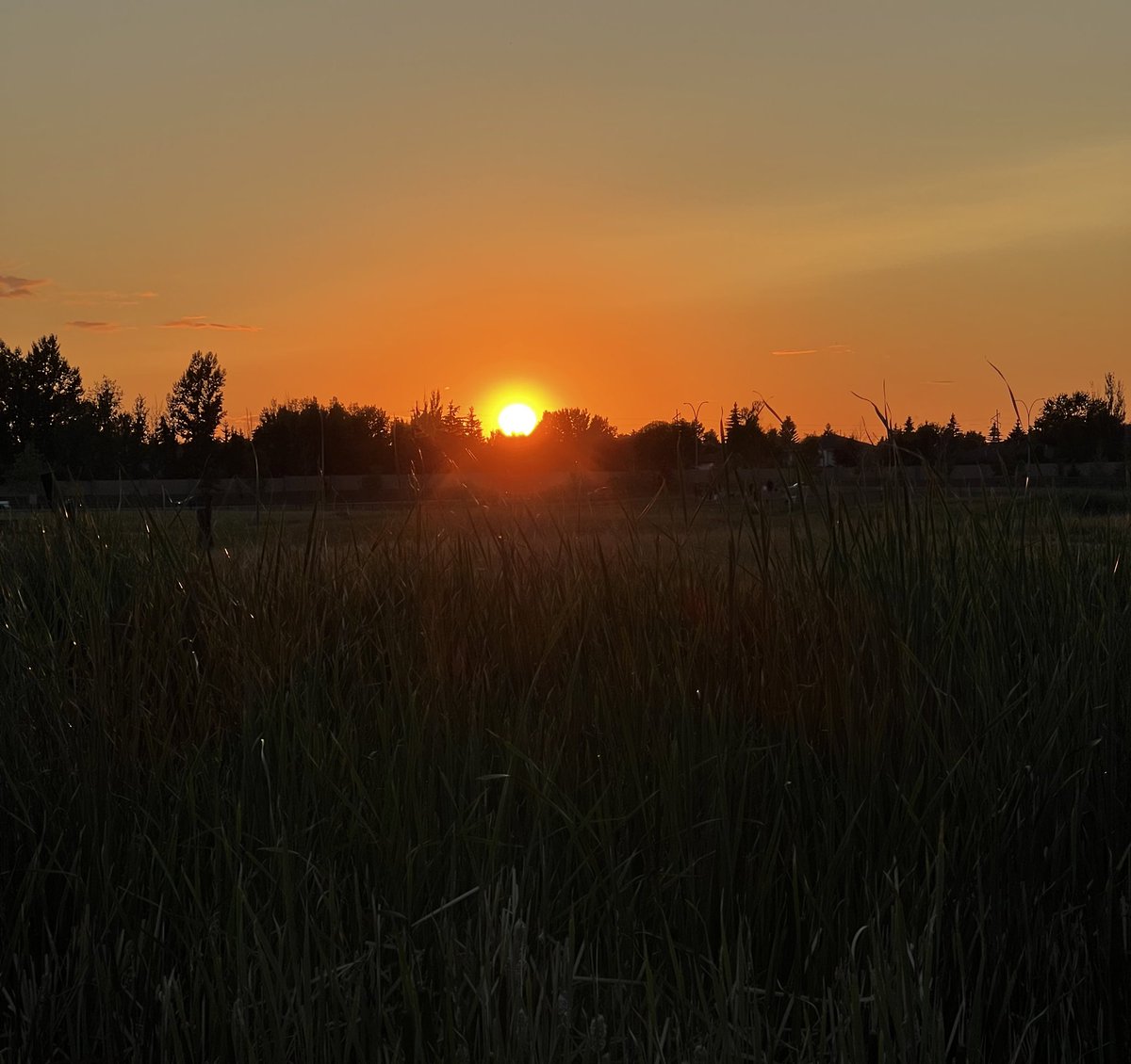 Denise13F's tweet image. Living my best life &amp;amp; enjoying time with my good sister Shelley. Walking trails &amp;amp; chasing that golden sunset. #MyStory #halfmarathontraining. total kms 16.1. 2day total. Sharing happiness perpetuates it. Creating good memories as we rock the ages. #LoveWins