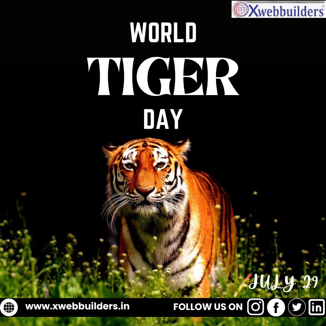 xwebbuilders's tweet photo. ☎️Contact us at +1.202.421-5747 or
📩email hello@xwebbuilders.in
for comprehensive IT services.
.
Explore further on our website
🌐https://t.co/40AELxyaT6
#xwebbuilders
#internationaltigerday
#protectnature
#protecttiger
#environment
#nature
#july29
#itcompany
#itservices https://t.co/w1jgBVTHD6