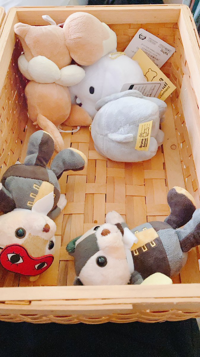 姪っ子のピクニックごっこに付き合わされる土沖クマ