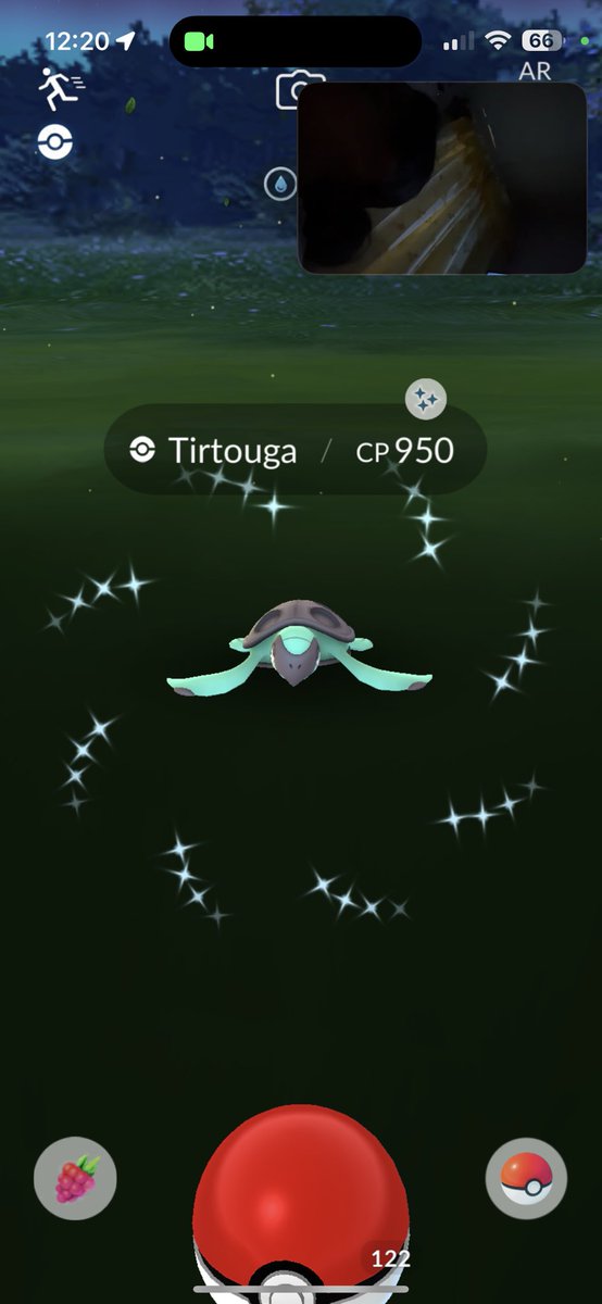 SlowBroRips's tweet photo. Finally caught this shiny #pokemongo on FT w/ @jgxo13_ https://t.co/rgwnhk24Jv