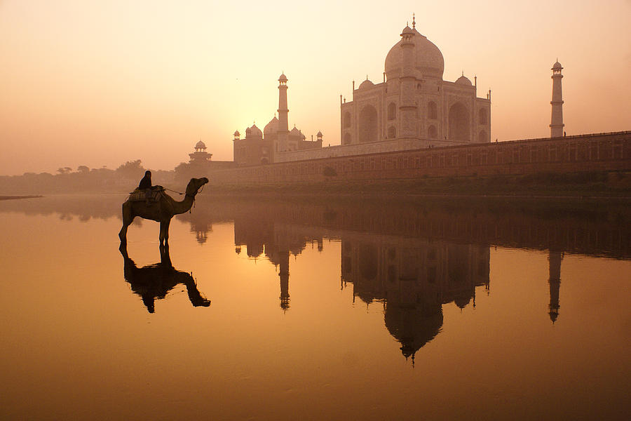sim_xploration's tweet photo. Embrace the magic of the Taj Mahal at sunrise. 
Who would you share this romantic moment with? 
📍Taj Mahal, Agra.
#TajMahal #IndiaTravel #exploringtheworld https://t.co/7g6Womp3Zq
