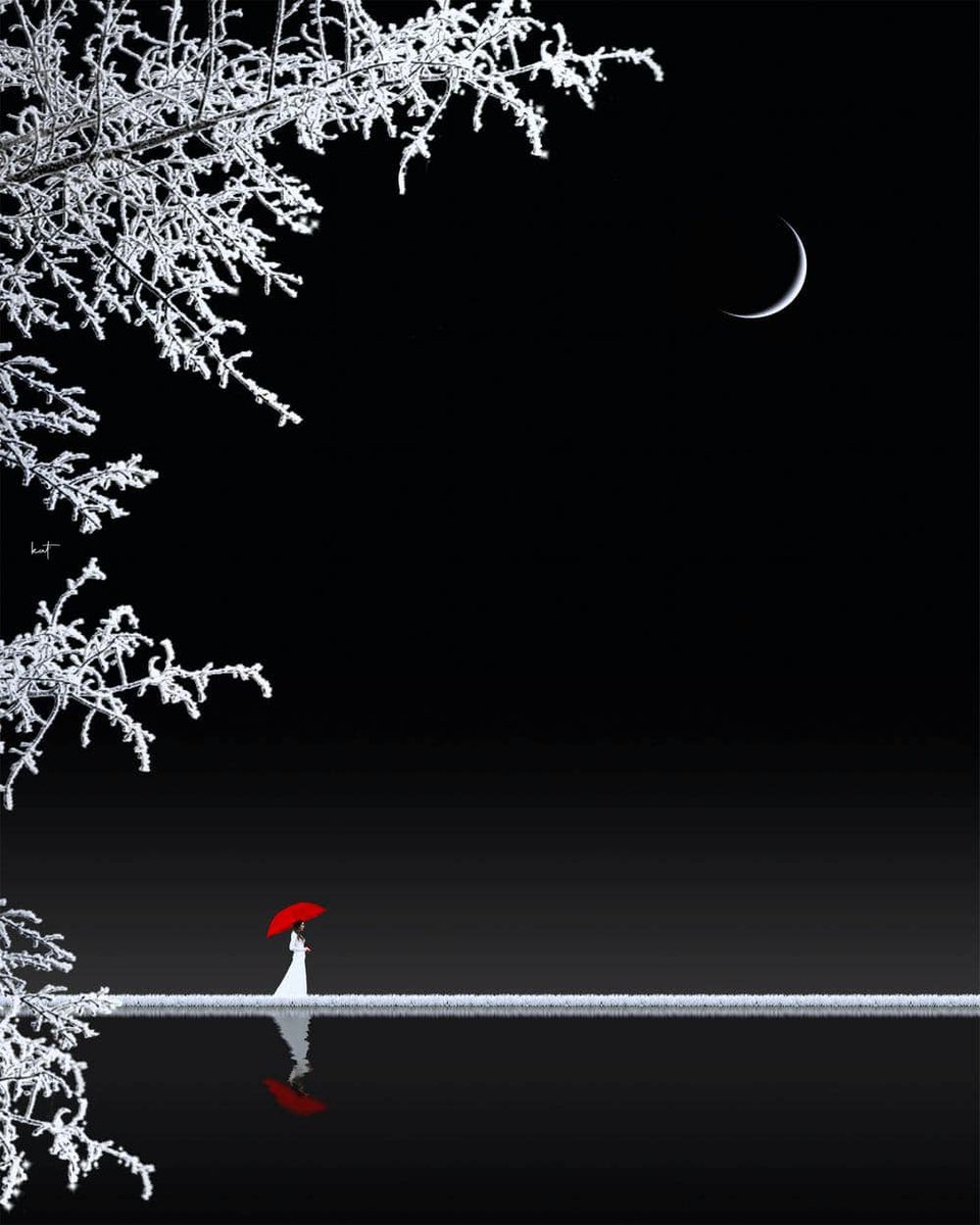 literatura_rte's tweet photo. Kathrin Federer
moon &amp; night https://t.co/PqLmm5gIhl