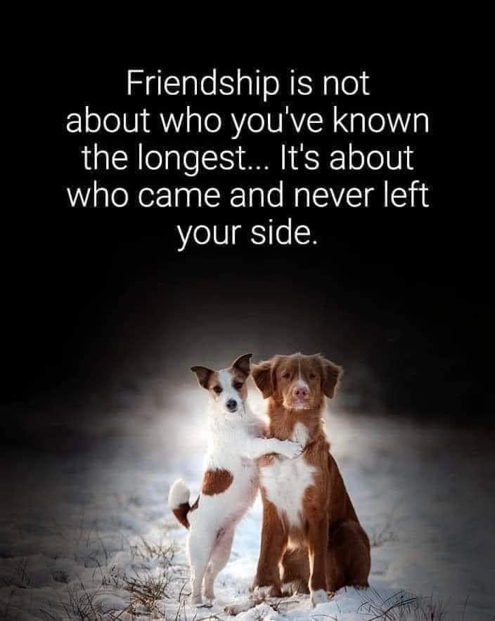 Lenny and Heather DIFFERENT Life Coaches (@heather08382554) on Twitter photo 