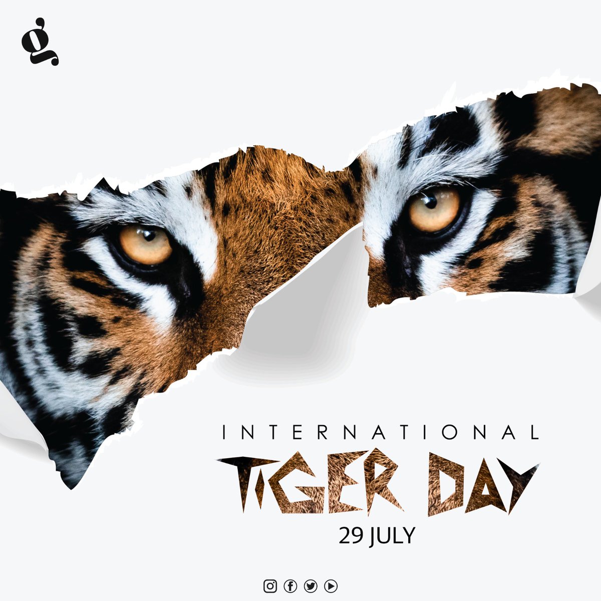 On this #InternationalTigerDay, let's celebrate the beauty and significance of #tigers in our ecosystem while raising awareness about their endangered status.

#Tiger #अंतर्राष्ट्रीयबाघदिवस #Savetigers #बाघ #GlobalTigerDay #बाघदिवस #SaveOurTigers #India