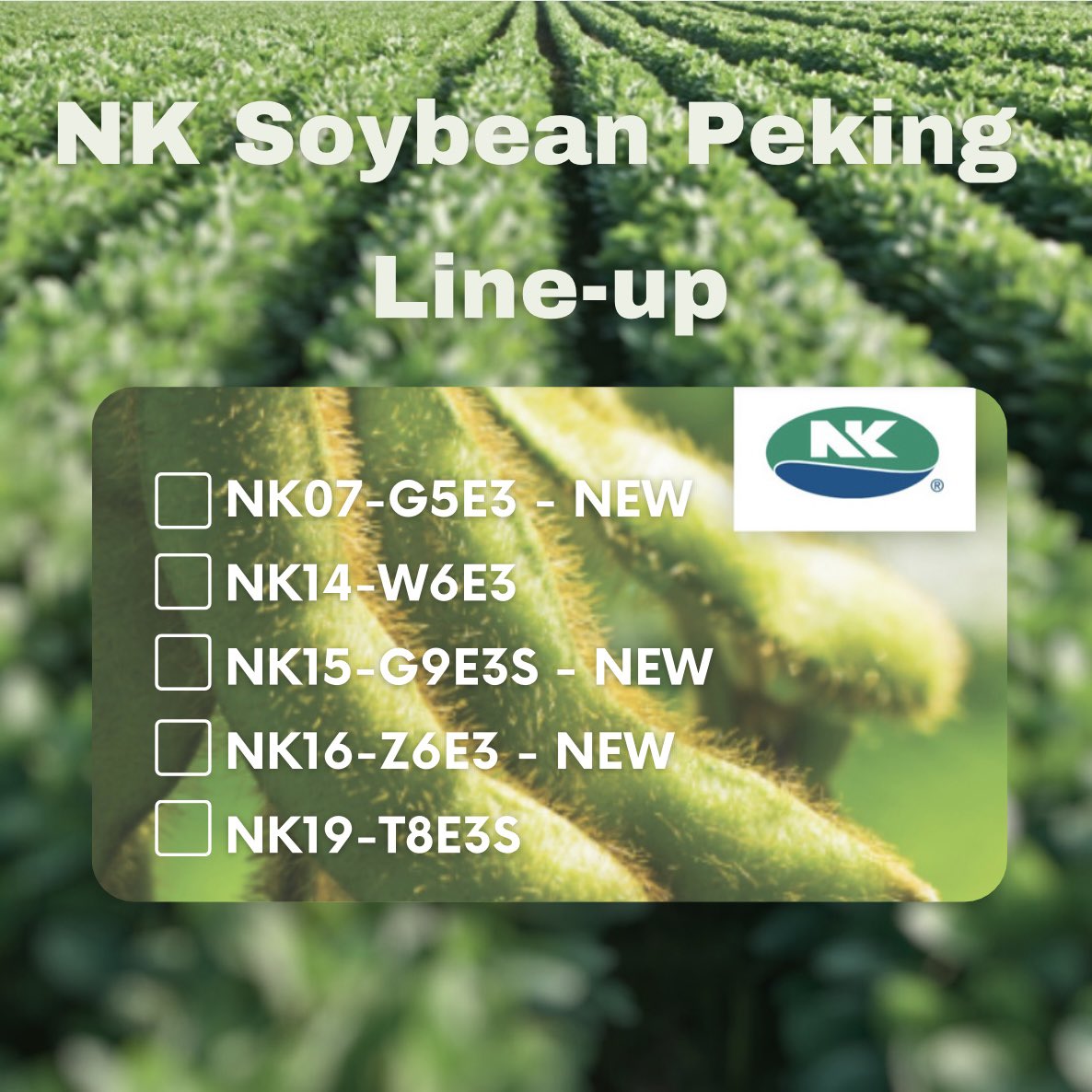 Is soybean cyst nematode of concern on your operation? 🫛

NK offers 5 different Enlist soybean options with Peking, which is proven more effective at limiting the production of nematode numbers in the soil.

Be sure to take a look at these NK soybean varieties! #NKSEEDS