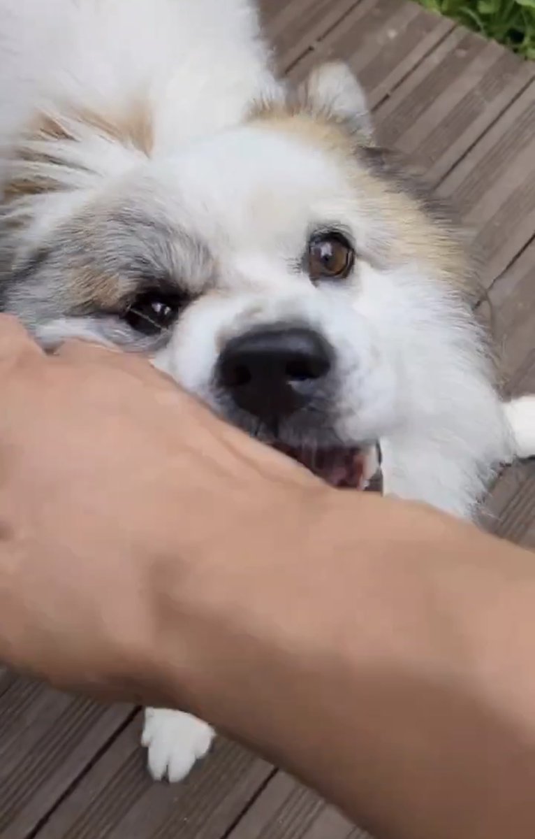 계속 재리미한테 시선 고정인 울피 너무 귀여워
눈동자 빤짝빤짝해✨✨