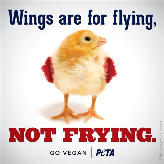 Chicken wings are SOMEONE'S body parts. #goVegan