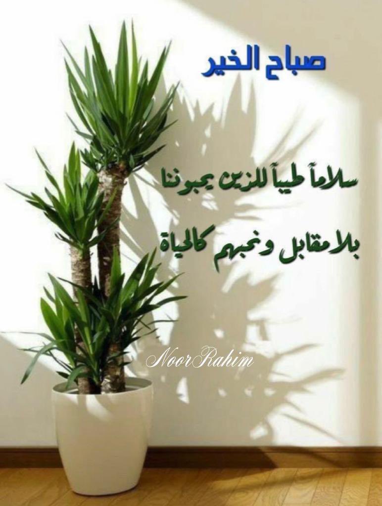 رســـ📩ــــــالة اليـــــــوم :

لا تبحث يومآ عن رد العطاء
لم تكن الحياة يوماً عادلة ولكن إذا قدمت
شيئآ أسعد بتقديمه وكفى
لا تنتظر الرد حتى لا تحرق حلاوة العطاء
#صَبَـــاح_الـــود لـ كُل من أعطى بلا منة
#صَبَـــاح_المحبة لـ كُل من نسي ما أعطى .

 #صبــــــــاح_الخـــــــــير