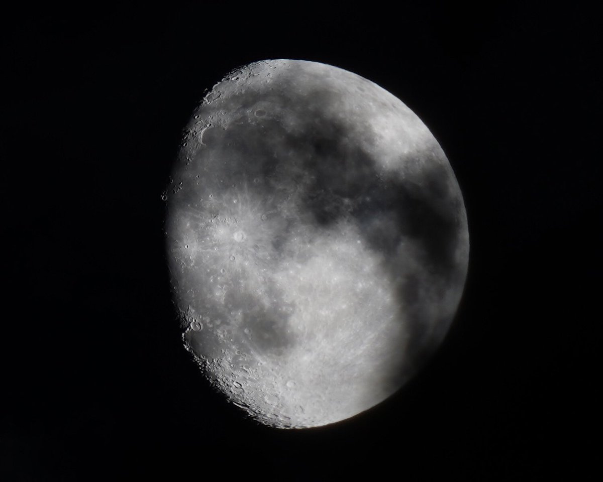 Jay Link tweet media