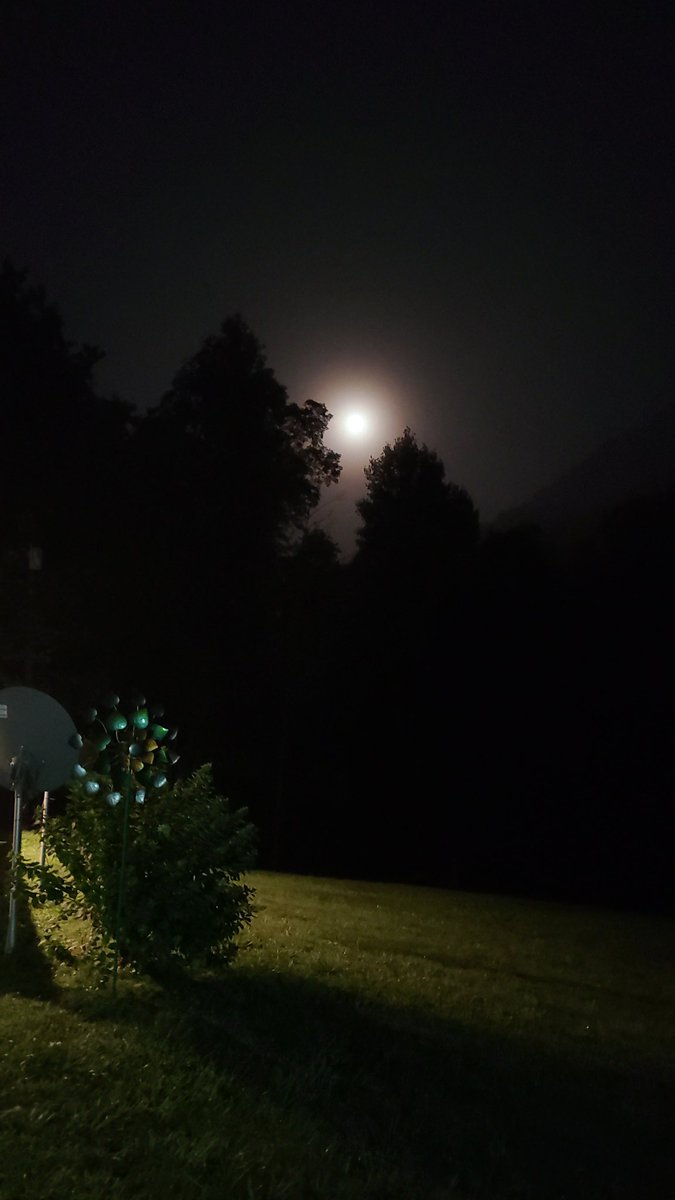 Pic from yard tonight