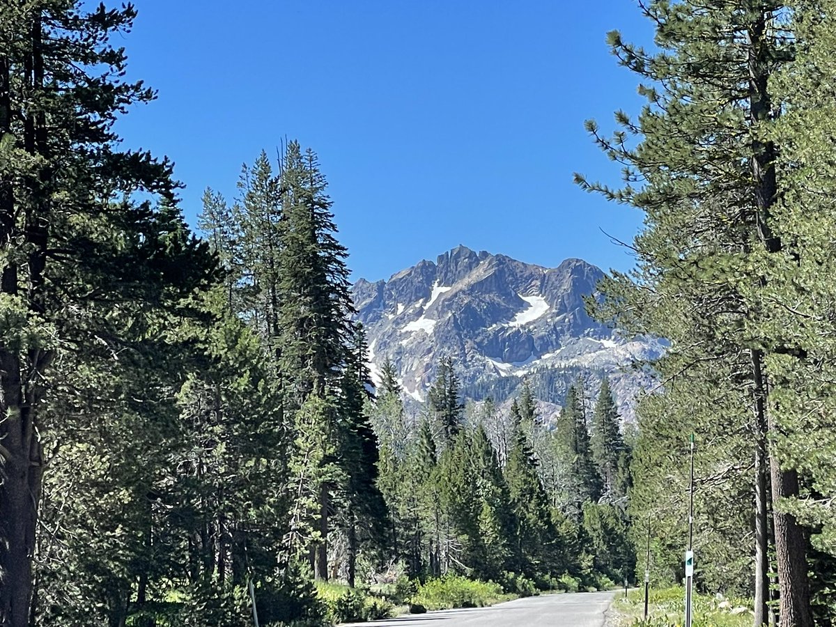 The view from the commute home today, elevation a slight 6400 ft - life is good! #SierraNevada #Bluesky #snowinjuly
