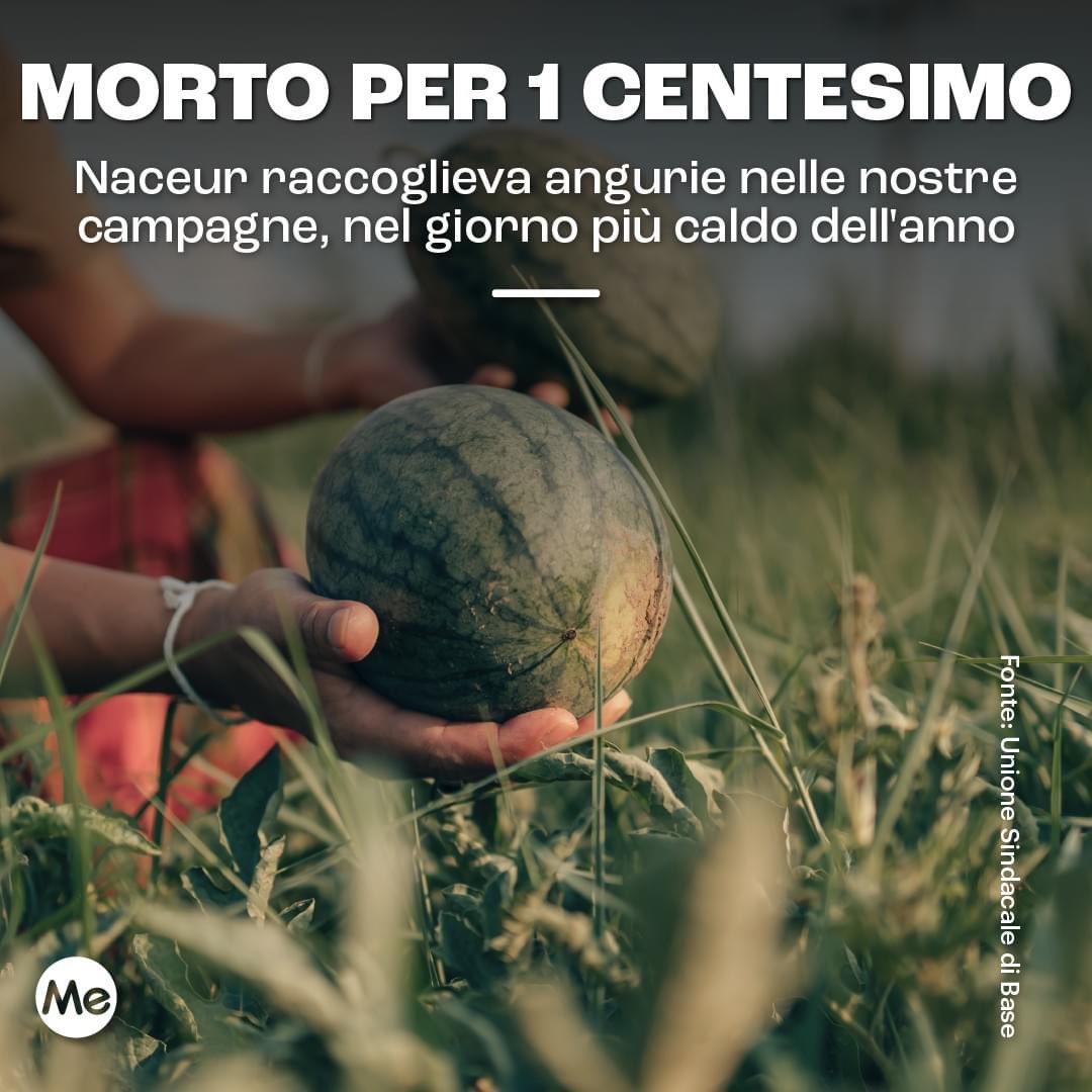 enzo_dirosa's tweet photo. Non si può morire così! Per 1 centesimo, raccogliendo angurie nelle nostre campagne, nel giorno più caldo dell’anno.
È accaduto a Montalto di Castro (VT)  Naceur Messauodi di 57 anni tunisino, è morto dopo essere collassato mentre raccoglieva #angurie sotto il caldo sole.

1/7 https://t.co/PPdB7GN0TM