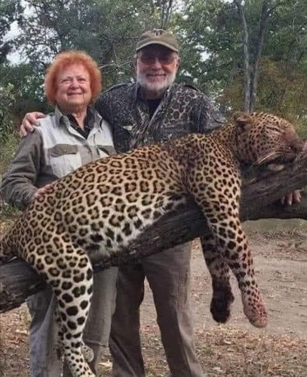 MATAN A UN POBRE ANIMAL EN PELIGRO DE EXTINCIÓN Y PREÑADA, SONRÍEN  CÓMO GRAN HAZAÑA SU MALVADA ESTUPIDEZ, LES DIVIERTE EL SUFRIMIENTO AJENO, DISFRUTAN ASESINANDO A UNA MADRE PREÑADA, QUIÉN NADA LES HIZO, ESTAMOS RODEADO DE ESTOS MOSTRUOS HUMANOS.!! 😡
NOS MERECEMOS EXTINGUIRNOS