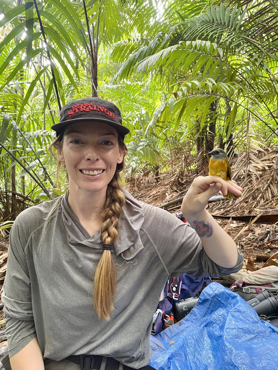 Bri Agenbroad - tweet media