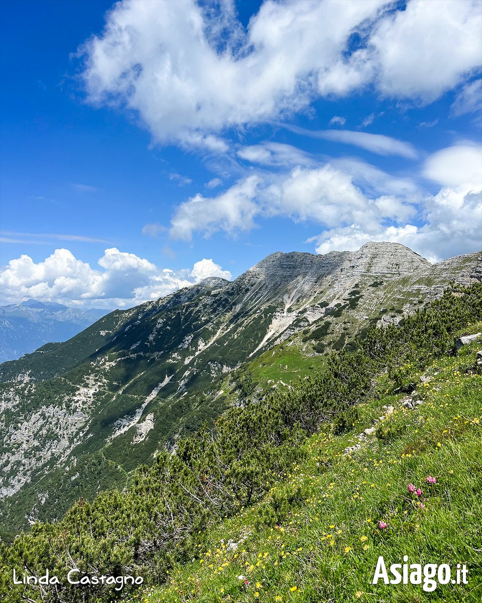 AsiagoIt's tweet image. CIMA PORTULE... 💚 
BUON SABATO AMICI! 🙂 Se volete raggiungere la #vetta qui trovate l'#itinerario &amp;gt;&amp;gt; asiago.it/portule

Foto 22/7/23

#Asiagoit #altopianodiasiago #Veneto #montagna #natura #outdoor #trekking #escursioni #estateinmontagna #Asiago