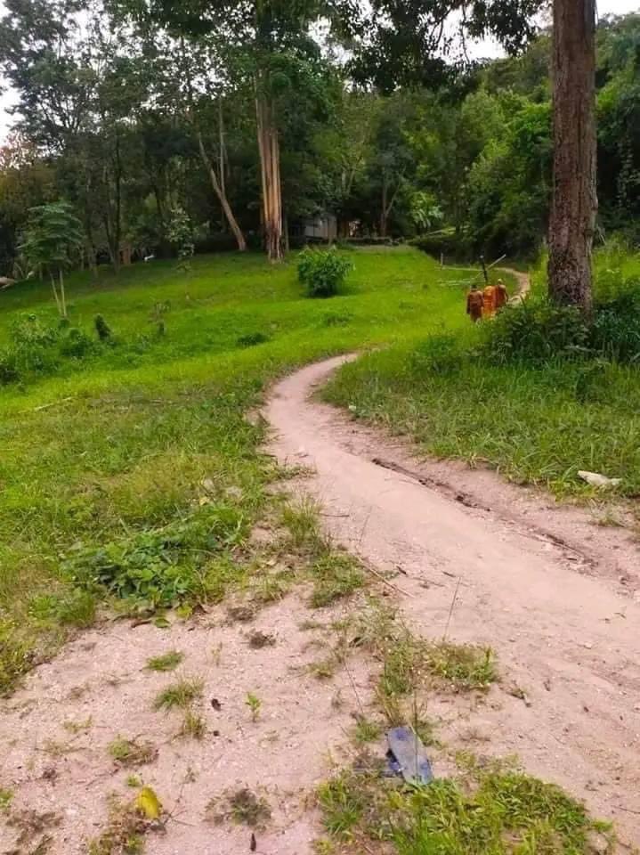OoKoLinn3's tweet photo. သတိပါ 

ကရင်တပ်မဟာ ၄ နယ်မြေ ထိုင်းနယ်စပ်တွင် BGF,NCA သက်န်းခြုံ အတုအယောင်တွေ ထိုင်း ဘုန်းကြီးတွေနဲ့ ပူးပေါင်းပြီး တပ်မဟာ ၄ နယ်မြေမှာ  အလံထောင်ပြီး နည်းမျိုးစုံနဲ့  အခြေချပြီး နေရာယူဖို့ ��ြိုးစားနေပါတယ်။
မာနာပလော တိုက်ပွဲဖြစ်စဉ်ကလို မြိုင်ကြီးငူဆရာတော်လုပ်ကွက်မျိုးချိုးလာနေပြီ။ https://t.co/vueVdDxnkh