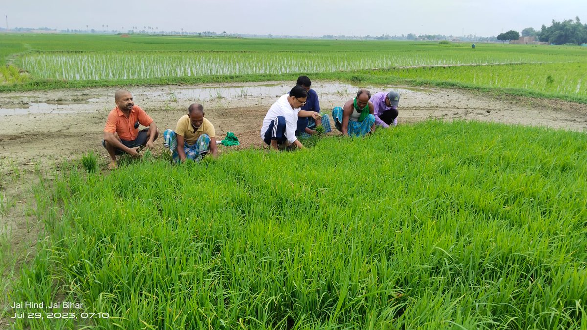 DrShamimRJD's tweet photo. सम्पूर्ण भारत देश और बिहार राज्य की आबादी का 75% आबादी जिस पर निर्भर हो, देश-राज्य की अर्थव्यवस्था का प्रमुख्य स्रोत धान की खेती में रोपनी कार्य का प्रकिया का समय चल रहा है...!!
आज अपने मंत्रालय के कार्य से समय निकाल कर रोपनी कार्य करते हुए...!!
#KisanFirst #जय_किसान https://t.co/PNonf6vFoq