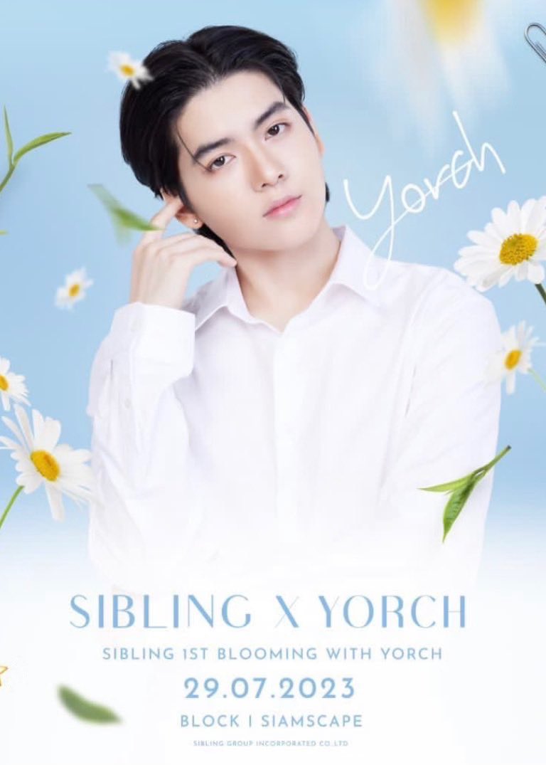 yorch entertainment tweet media