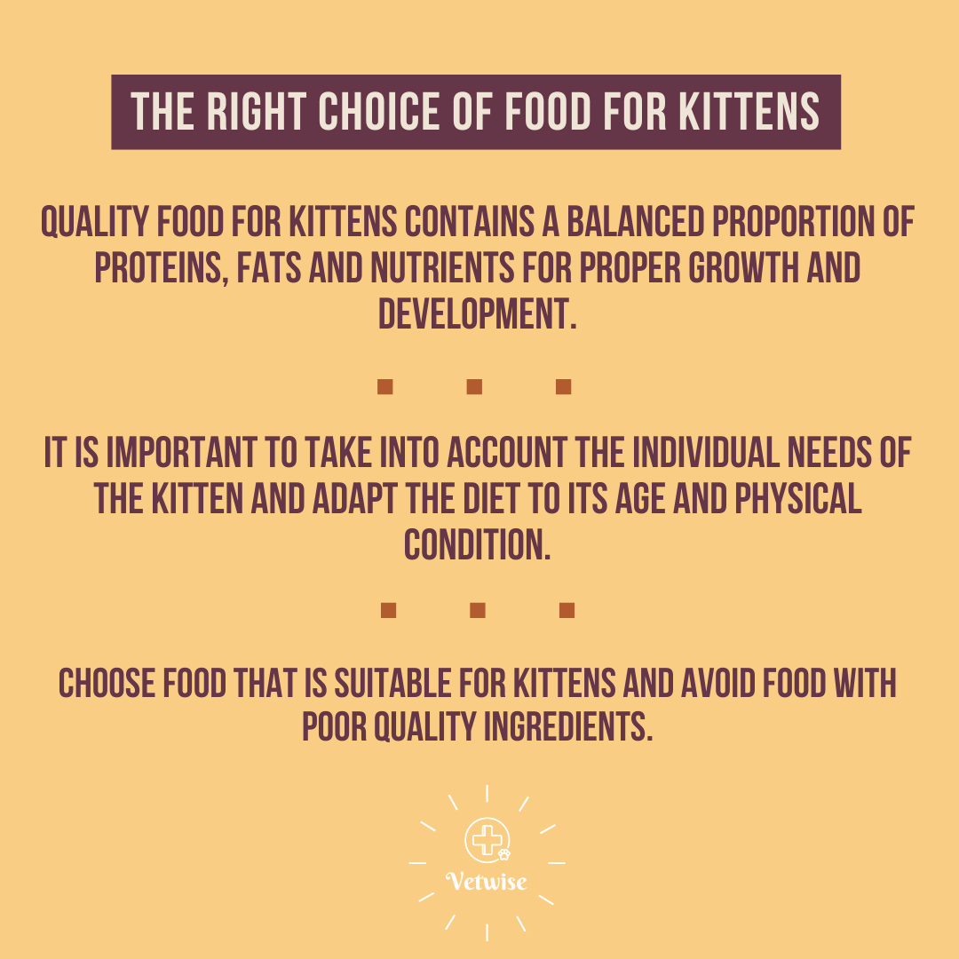 Choose a quality feed that will support the kittens
on the way to health and happiness!

#food #health #kitten #animals #veterinary #diet