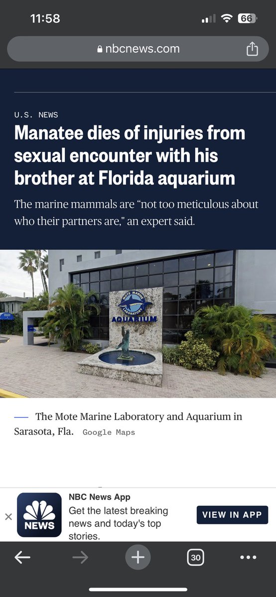 AlycatIsAlive's tweet photo. Screw “Florida Man” articles, apparently now we have to discuss “Florida Manatee” news stories https://t.co/yXJkzz9t1W