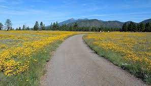 Buffalo Park Hike is a well-kept 2 mile loop with incredible views of Mt. Elden and the San Francisco Peaks. This trail is heavily trafficked and is great for all skill levels. Great for families with children, dogs are allowed but must be kept on leash. hil.tn/js38ny