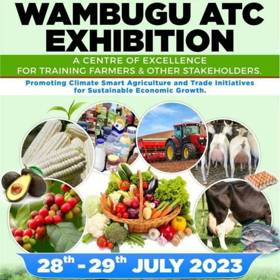 Oshochem's tweet photo. Welcome to Day 2 of Wambugu ATC Exhibition in Nyeri. Our team of agronomists is there to ensure you get all the agricultural advise you may require in your farming. You'll also get a gift for any products purchased from our booth! #wegrowwithyou #TrainingFarmers #SmartAgriculture https://t.co/y7pivPQ54Q