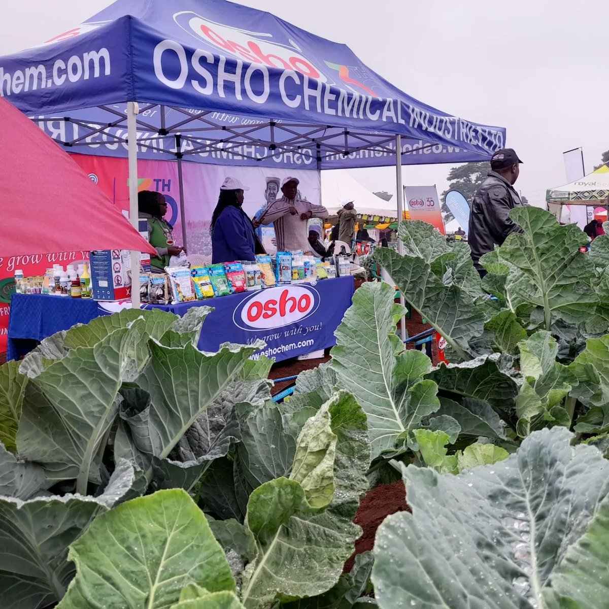 Oshochem's tweet photo. Welcome to Day 2 of Wambugu ATC Exhibition in Nyeri. Our team of agronomists is there to ensure you get all the agricultural advise you may require in your farming. You'll also get a gift for any products purchased from our booth! #wegrowwithyou #TrainingFarmers #SmartAgriculture https://t.co/y7pivPQ54Q