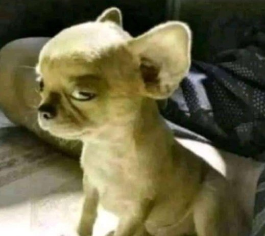MjaySteven's tweet photo. Munthu kwangocha sunapemphere nkomwe koma watumiza kale message ati "Are you coming?". Sabwera unya https://t.co/KfDeQrktxf