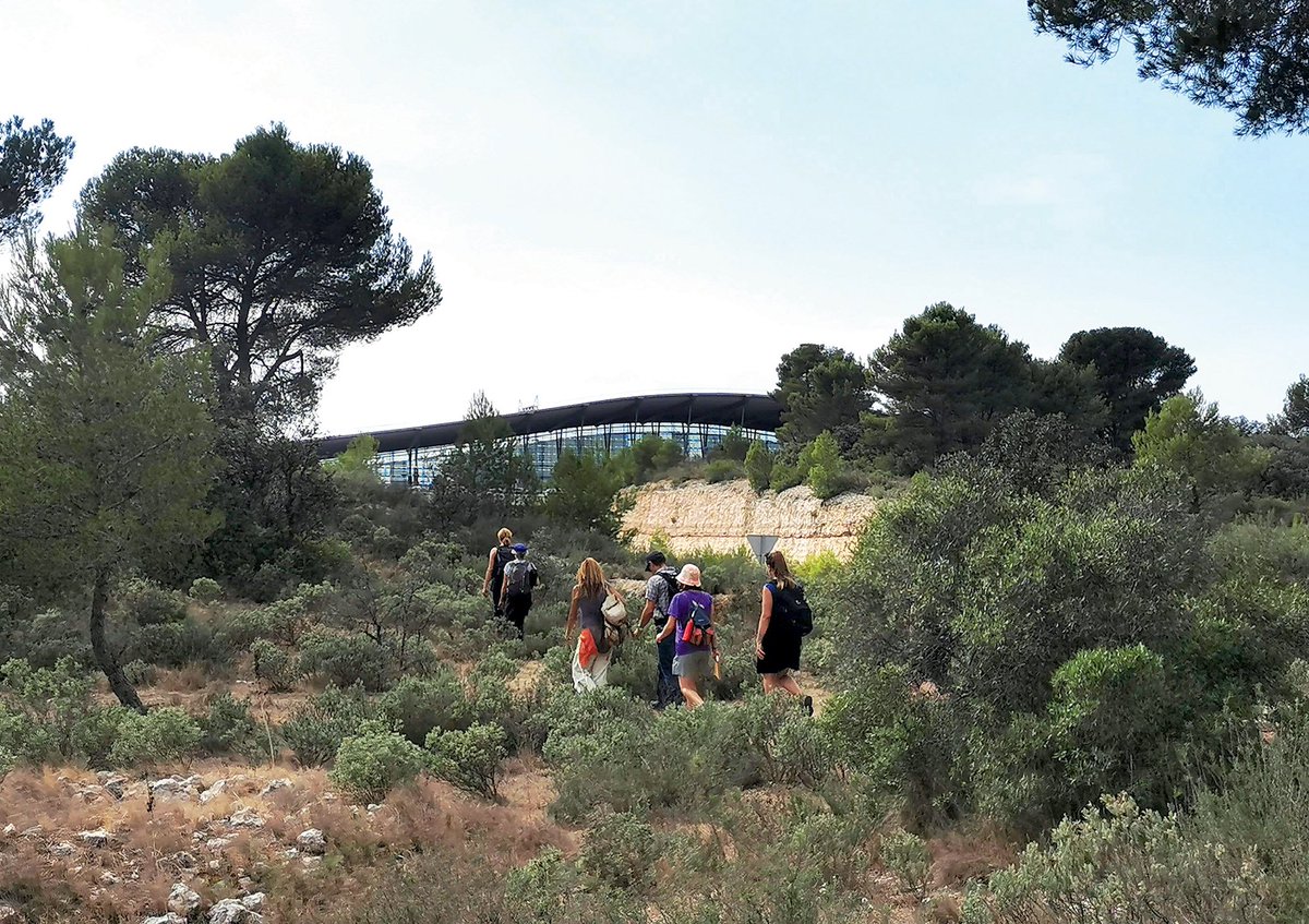 departement13's tweet photo. 🎉🚶‍♀️ Célébrons 10 ans de #Nature et #Culture !

Très fiers d'avoir contribué au 1er sentier périurbain de France, le #GR2013, un joyau de 365 km à travers notre territoire😮.

(Re)Découvrez son histoire et les festivités uniques prévues pour l'occasion 👉 https://t.co/AYezqdfu8I https://t.co/7OSkrjb489