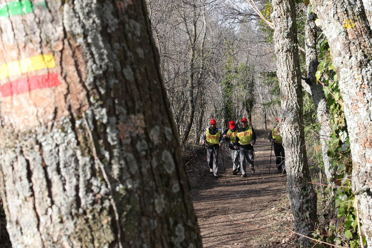 departement13's tweet photo. 🎉🚶‍♀️ Célébrons 10 ans de #Nature et #Culture !

Très fiers d'avoir contribué au 1er sentier périurbain de France, le #GR2013, un joyau de 365 km à travers notre territoire😮.

(Re)Découvrez son histoire et les festivités uniques prévues pour l'occasion 👉 https://t.co/AYezqdfu8I https://t.co/7OSkrjb489